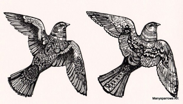 bird designs by manysparrows art (24)
